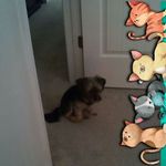 Robin Halstead - @robin.halstead.56 - Instagram