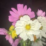 Robin Halverson - @robinhalverson - Instagram
