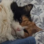 Robin Hammond - @cptnjckrbn - Instagram