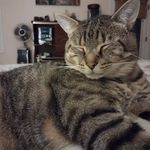 Robin M Hammond - @robin.hammond.98 - Instagram