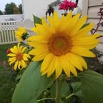 robin.hamrick.71 - @robin.hamrick.71 - Instagram