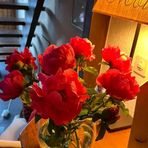 Robin Han - Facebook
