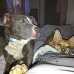 Robin Hartman - @robin.hartman.7503 - Instagram