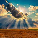 Robin Hartman - @robin.hartman.714 - Instagram