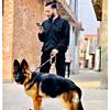 Robin Aslam - @robin.aslam4 - TikTok
