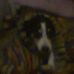Robin Haslam - Facebook