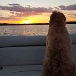 Robin Hatch - @irishhatch - Instagram