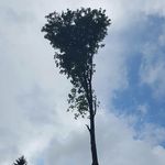 @haupt.robin - Instagram