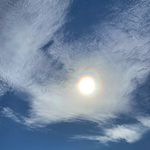 Robin Havens Van Hoofstadt - @robin.van.hoofstadt - Instagram