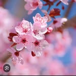 Robin Sue Waibel Havens - @robinsuehavens - Instagram