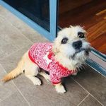 Robin Head - @robin.head.12 - Instagram