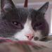 Robin Mobley Hedrick - Facebook