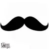 Robin Heil - @thespielbro - TikTok