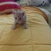 Robinheilmann - @rob25665434 - TikTok