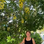 Robyn Heintzelman - Stump - Facebook