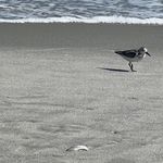 Robin Henley - @robin.henley.50 - Instagram