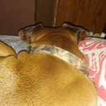 Hennessey Marie - @hennessey.robinson.50 - Instagram