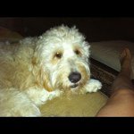 Robin Hennessey - @rmhennessey - Instagram