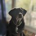 Robin Owens-henning - Facebook