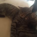 Robin Herbst - @robinherbst1 - Instagram