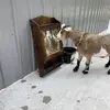 robinhesseypeck - @robin.hessey.peck - TikTok