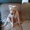 Robert Hilburn - @robert.hilburn37 - TikTok