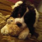Robin Hillman - @robin.hillman.906 - Instagram
