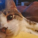 Robin Hillman - @1960rlhillman - Instagram