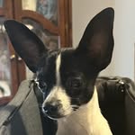 Robin Hines - @robinh67 - Instagram