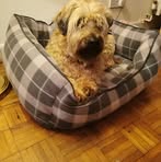 Robin Habgood - Facebook