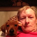 Robin Hoey - @pernick21 - Instagram