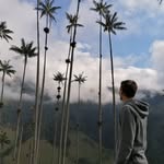 Robin Hofmann - @rbnhofmann - Instagram