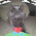 Robin Holbrook - Facebook