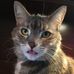 Robin Holbrook - Facebook