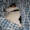 Robin Holbrook Quinn - @robin.holbrook.qui - TikTok
