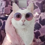Robin J. Holbrook - @robin4061415 - Instagram