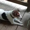 robinholbrookquin - @robinholbrookquin - TikTok