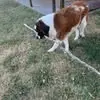 Robin Holmes - @robin.holmes27 - TikTok