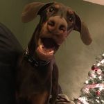 Robin Holstein - @robin.holstein - Instagram
