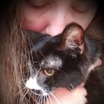 Robin Hone - @beanhone - Instagram
