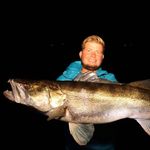 R O B I N  H O O K  FISHINGTRIPS&GUIDING - @robin.hook_fishing - Instagram