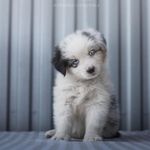 Robin - @robin_hooper_cua6 - Instagram