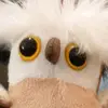 robinhoughton - @robinhoughton - TikTok