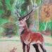 Hubert Robin - Facebook