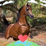 Robin Hudak - Facebook