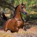 Robin Hudak - Facebook