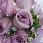 Robin Huff - @robin.huff.96 - Instagram