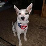 Robin Huff - @robin.huff.990 - Instagram