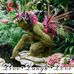 Robin Huff - Facebook