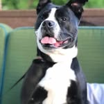 Robin Byrd Huffman - @robinbhuffman7 - Instagram